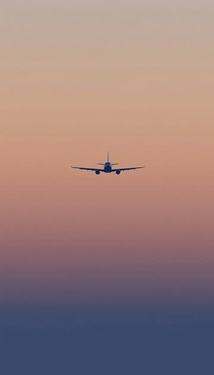 夕方の空を飛ぶ飛行機の遠景シルエット、落ち着いた色合い