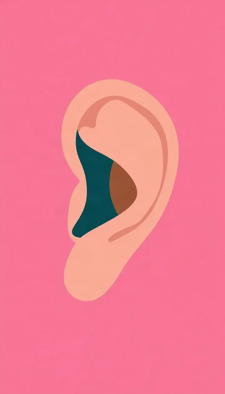 耳の断面を模したシンプルなアイコン図、内側と外側で色分け