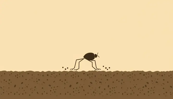 小さな虫の体に胞子のような粒がつき、別の場所へ運ばれていく様子